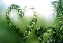 开云体育登录-金色眼泪沸腾时：当勇士梦断奥运，球迷的呐喊震碎星空