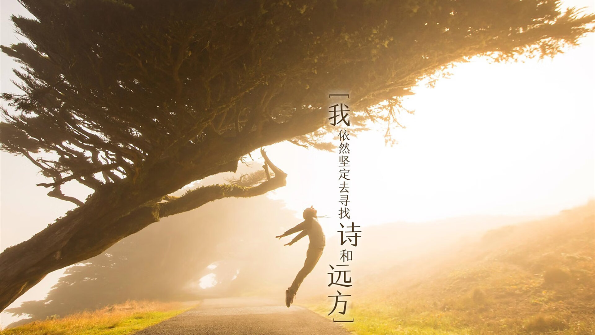 开云体育app-从低谷到巅峰，红牛惊天翻盘威廉姆斯，佩雷兹创下单季领跑新纪录