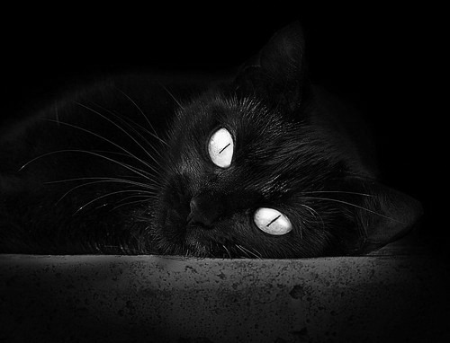 跨界奇迹，尼日利亚正面击溃佛罗伦萨，莫德里奇关键先生引领足球新篇章