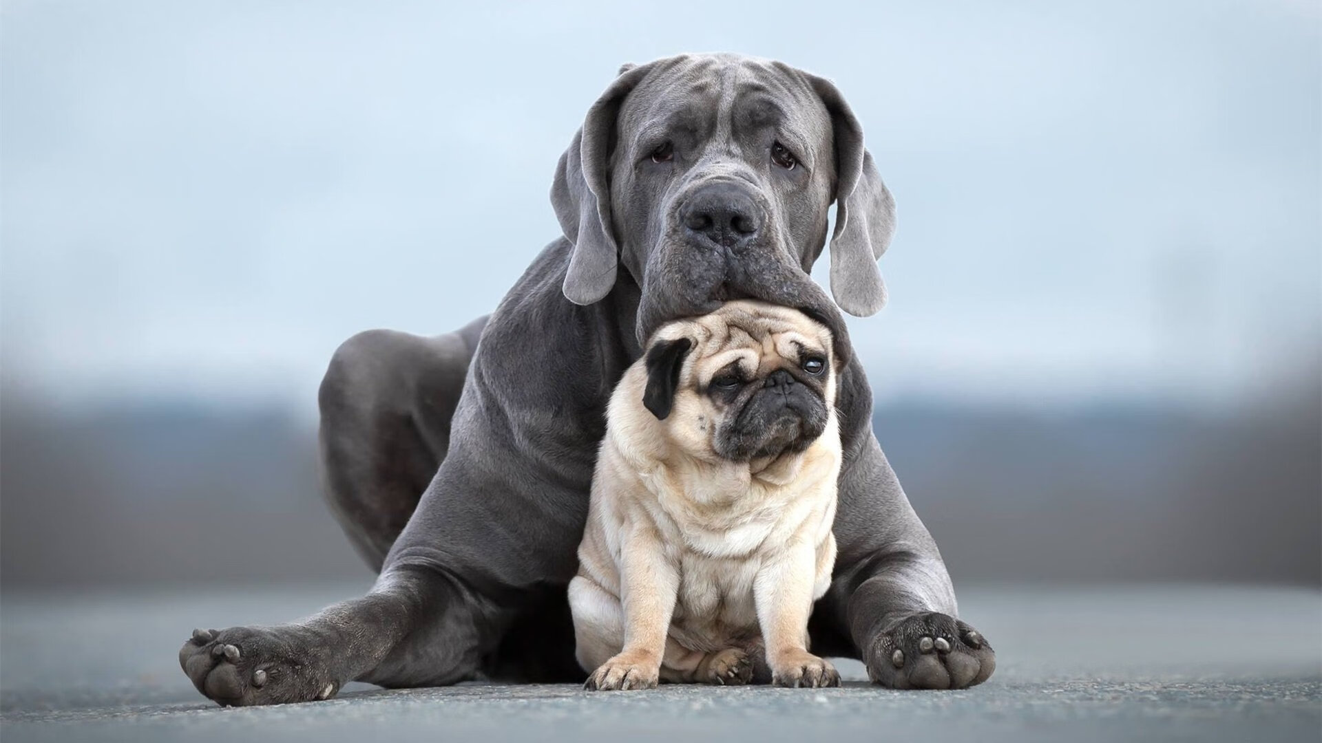 开云体育APP下载-东方魔法师点亮红色帝国，久保建英一传一射，利物浦季前赛强势攻克爱尔兰堡垒