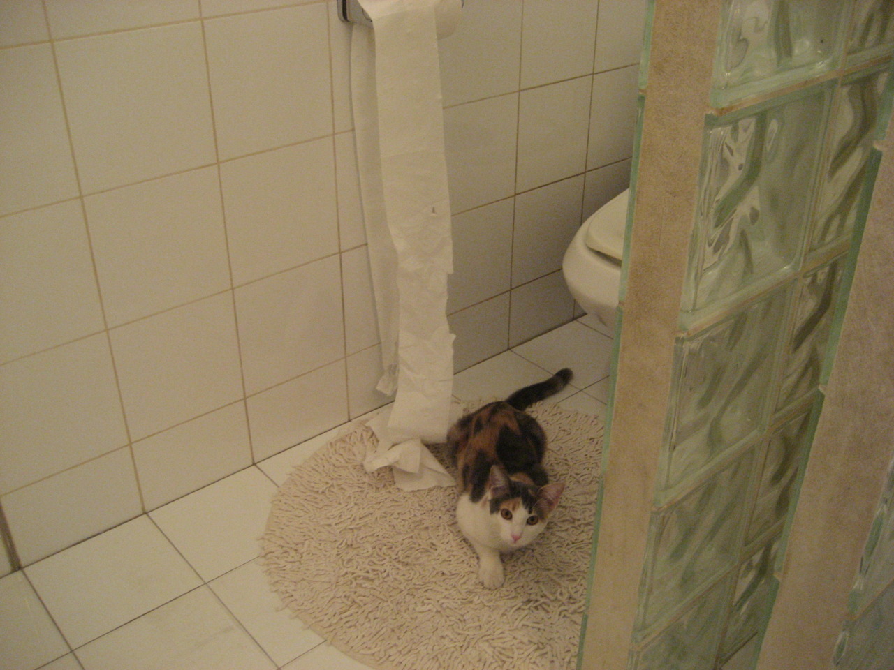 魔幻现实主义的胜利，奥亚尔萨瓦尔编织哥伦比亚三球大捷